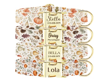 Personalized Fall Dog Collar, Custom Pumpkin Floral Design, Gold ID Buckle Collar