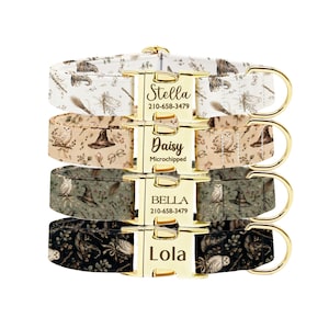 Può includere: Quattro collari per animali impilati verticalmente con un motivo di gufi, cappelli da strega e scope. Ogni fibbia in metallo dorato è incisa con un nome e un numero o testo: Stella 210-658-3479, Daisy Microchipped, BELLA 210-658-3479 e Lola.