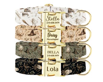 Personalized Wizard Dog Collar, Custom Magic Owl Design, Gold ID Buckle Collar