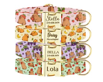 Personalized Capybara Dog Collar, Custom Fruit Design, Gold ID Buckle Collar