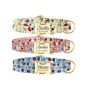 Personalized Dog Collar: Engraved Buckle, Custom Name & Phone