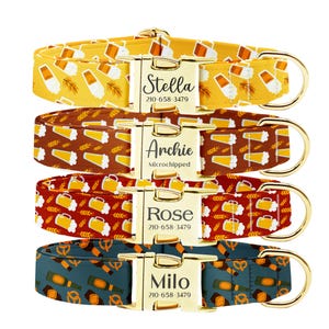 Personalisiertes Bier-Hundehalsband-Leine-Set: Schnalle mit Gravur, individuelle Haustier-ID