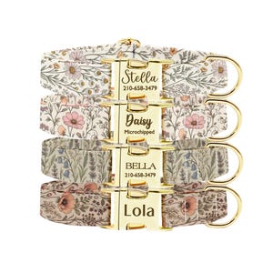 Puede incluir: Cuatro collares para perros con estampados florales, con hebillas y anillas en D de metal dorado. Cada collar tiene un nombre diferente grabado en la hebilla: Stella, Daisy, Bella y Lola. El número de teléfono 210-658-3479 también es visible en las hebillas.