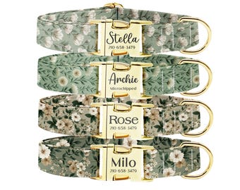 Personalized Dog Collar Leash Set: Engraved Buckle, Custom Pet ID