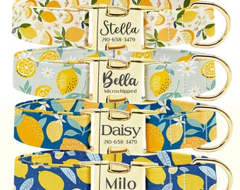 Personalized Dog Collar: Engraved Buckle, Custom Name & Phone, Lemon Collar