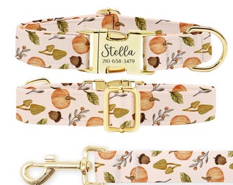 Personalized Dog Collar Leash Set: Engraved Metal Buckle, Silk Webbing