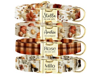 Personalized Dog Collar Leash Set: Engraved Buckle, Custom Pet ID