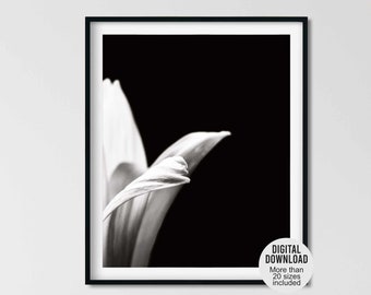 Printable black and white flower photography, Fine art photography wall decor, Artistic floral photo print