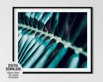 Botanisk fotografi av tropiska löv närbild, grönska väggkonst fotodekor, 24 x 36 naturväxttryck, Boho bild digital nedladdning