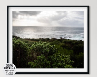 Cape Town coastal photography, Beach plants & ocean with a cloudy sky photo, South Africa seascape wall decor, Ocean waves print