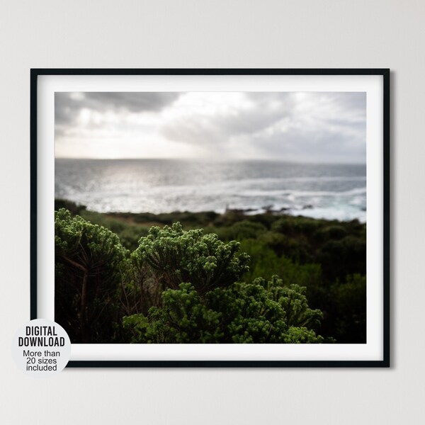 Cape Town coastal photography, Beach plants & ocean with a cloudy sky photo, South Africa seascape wall decor, Ocean waves print