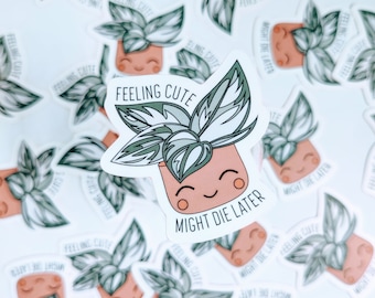 Feeling Cute, Might Die Later Plant Sticker, Waterproof Matte Vinyl