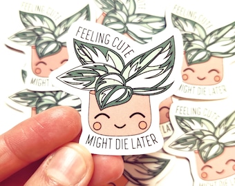 Feeling Cute, Might Die Later Magnet, Funny Plant