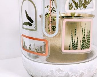Clear Houseplant Stickers: Waterproof Vinyl Decals