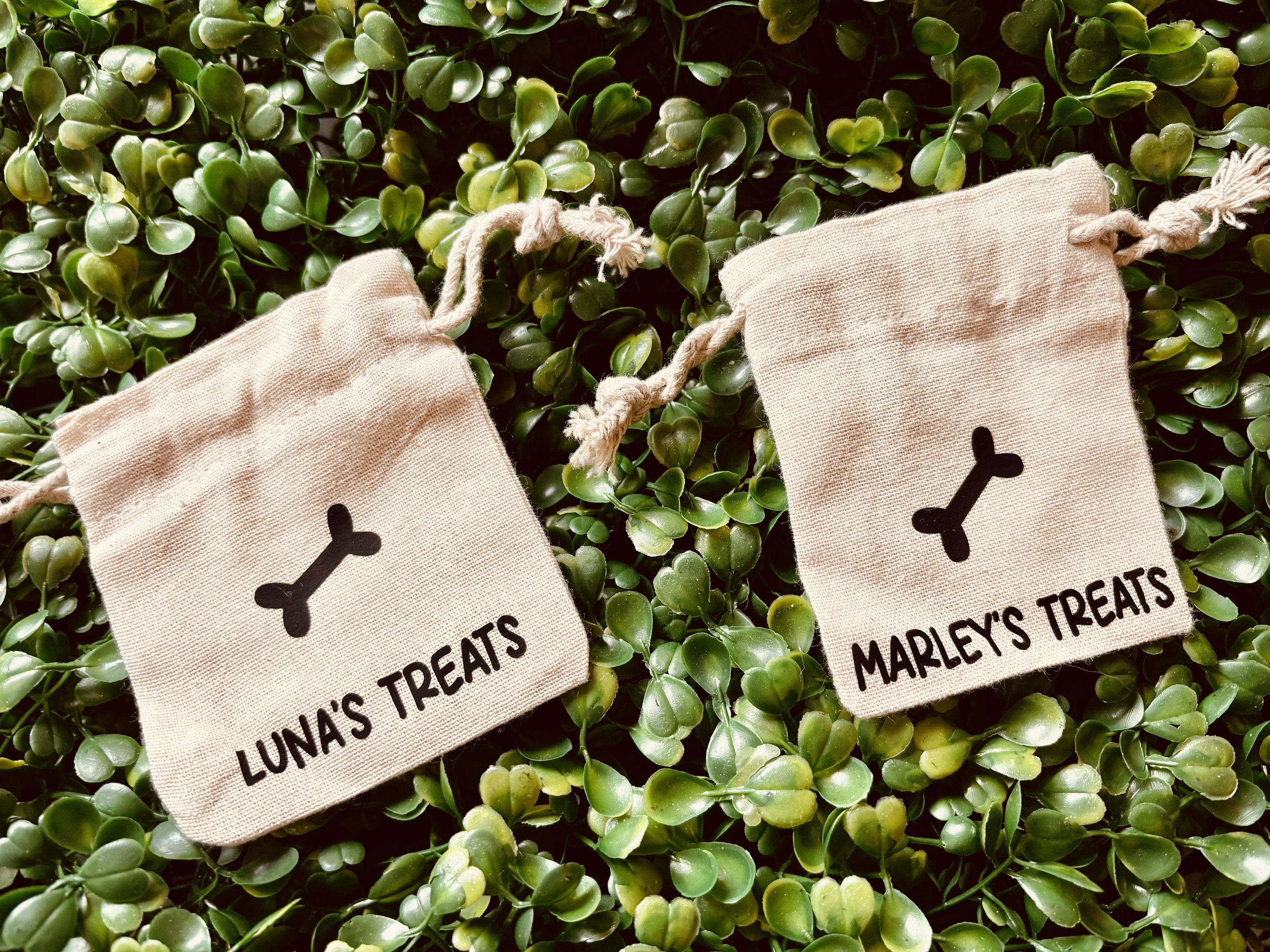 Dog Training Treat Bag-handmade/personalised/training accessory/puppy accessory/dog lover gift