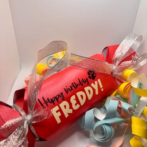 Personalised Dog Birthday Gift Box Cracker-Puppy/dog present/toy/treats