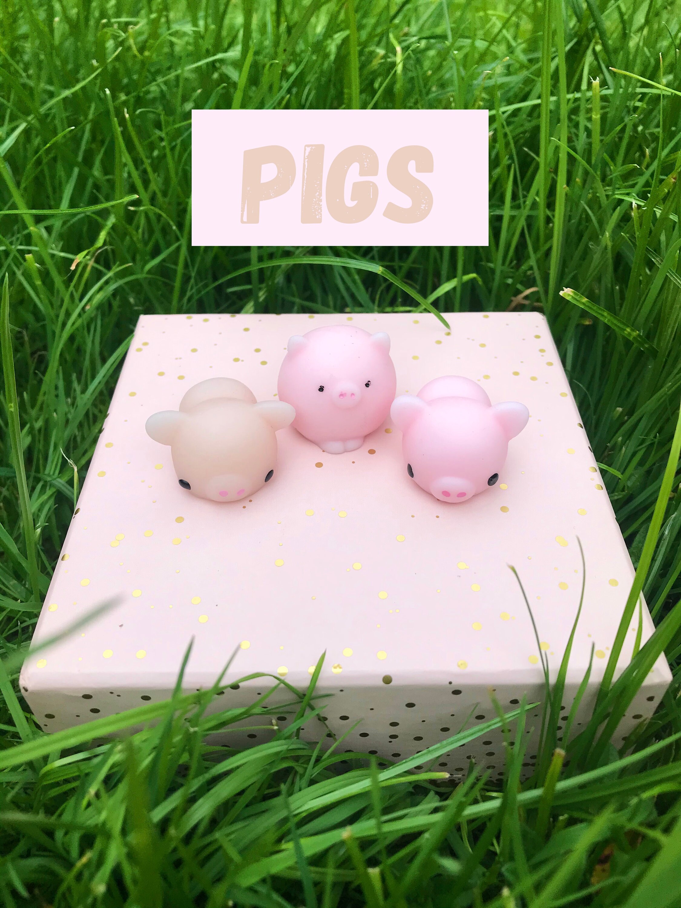 A snazzy three pack of mochi toys each with their own name Etsy