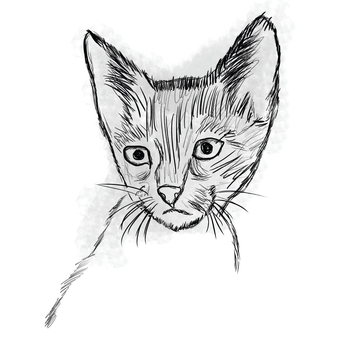 Katzen Skizze Katzen Skizze Digitaler Download Digitale - Etsy.de