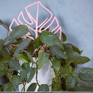 Monstera Plant Trellis | Indoor Plant | Vining Plant | 3D Printed