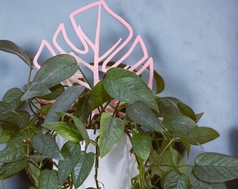 Monstera Plant Trellis | Indoor Plant | Vining Plant | 3D Printed