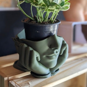 Maceta Face Plant / Maceta sostenible y elegante para plantas de interior / Macetas para plantas de interior / Pothos / Tradescantia / Accesorios para plantas de interior