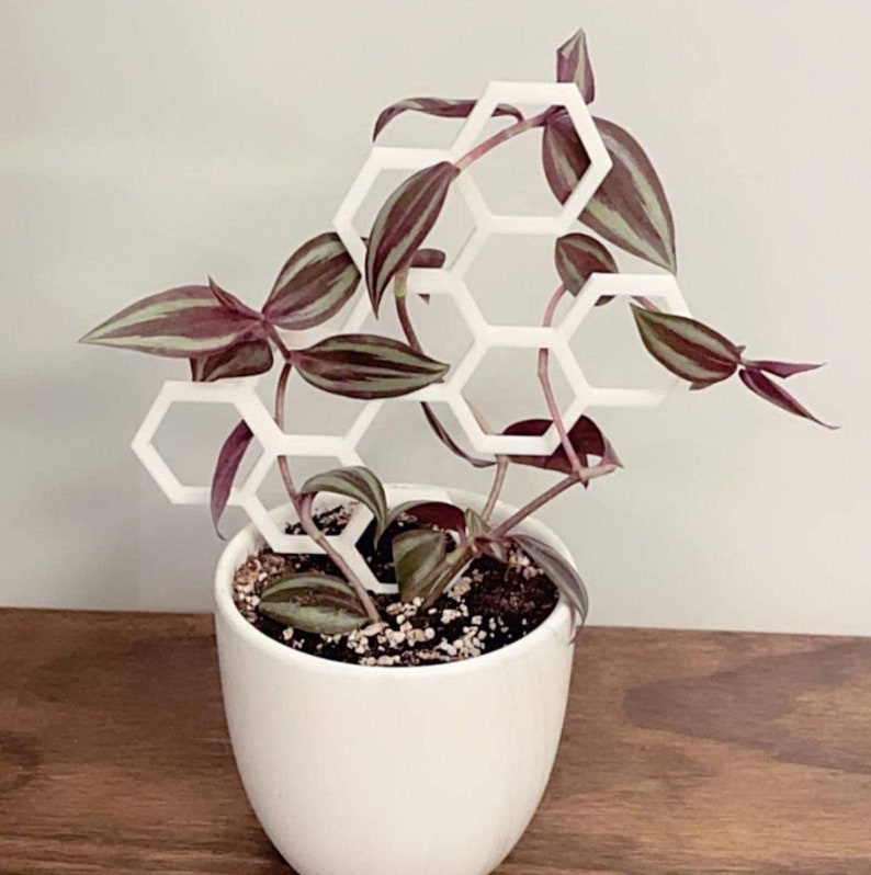 Plant Trellis Indoor Plants 3D Printed Etsy