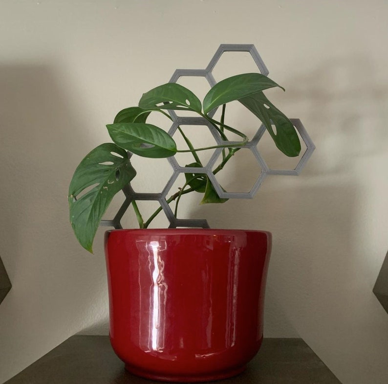 Plant Trellis Indoor Plants 3D Printed Etsy