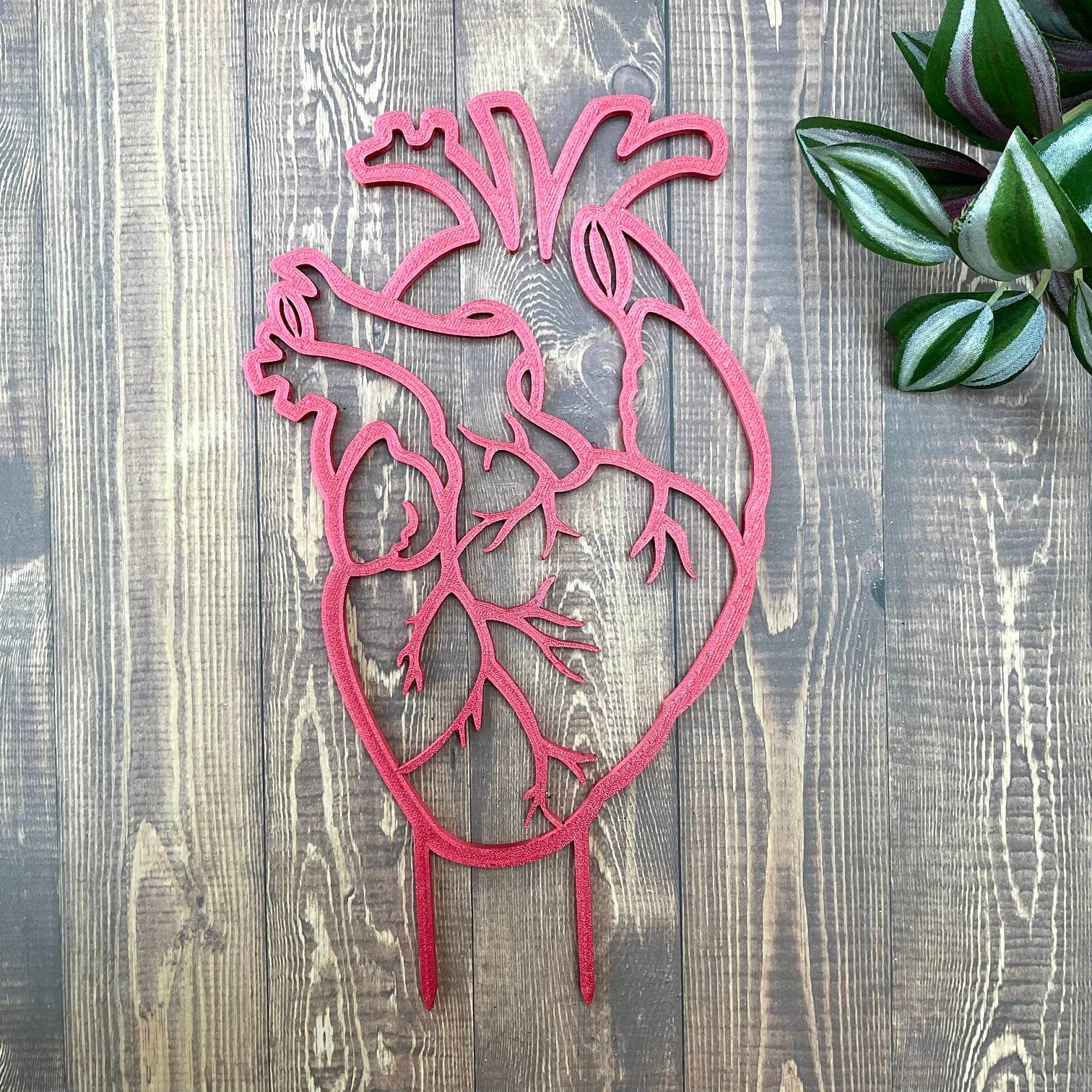 Traliccio a forma di cuore anatomico / traliccio per piante da appartamento / pianta da interno / palo per piante / pianta tropicale / decorazione di