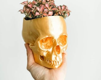 Skull Planter | Spooky Houseplant Pot | Halloween Topical Planter