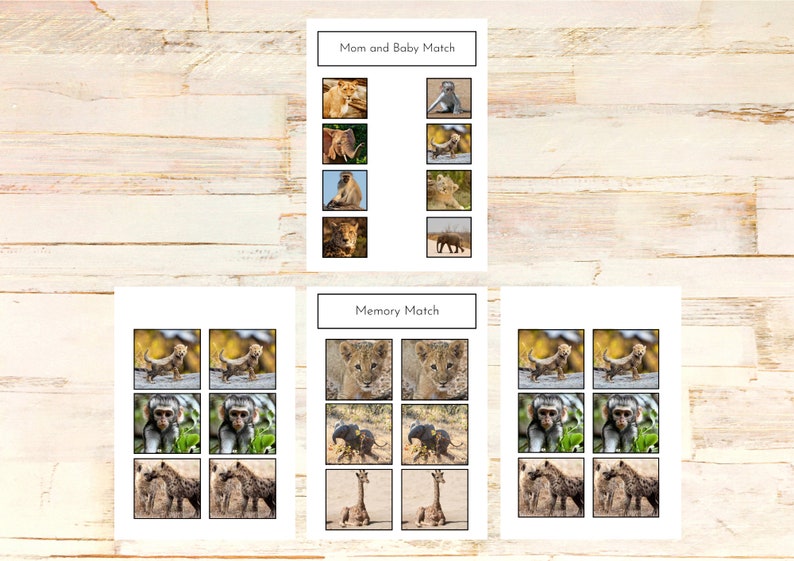 Safari Animals Preschool Activity Mini Bundle Etsy