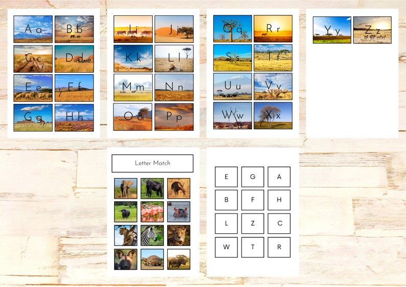 Safari Animals Preschool Activity Mini Bundle Etsy