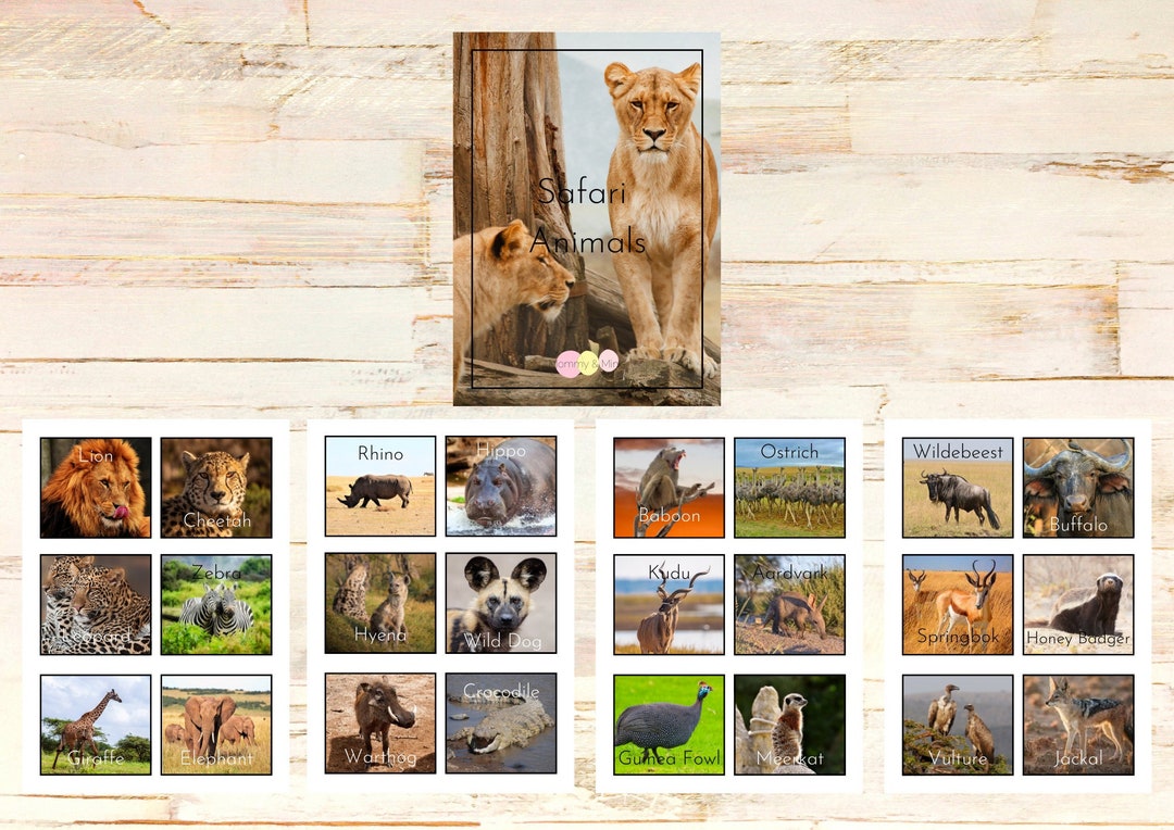Safari Animals Preschool Activity Mini Bundle Etsy