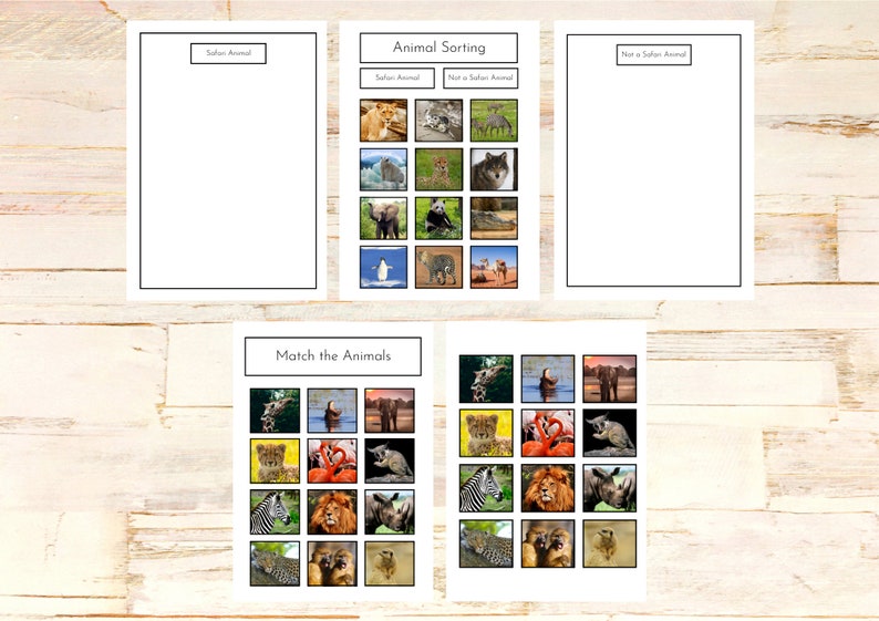 Safari Animals Preschool Activity Mini Bundle Etsy