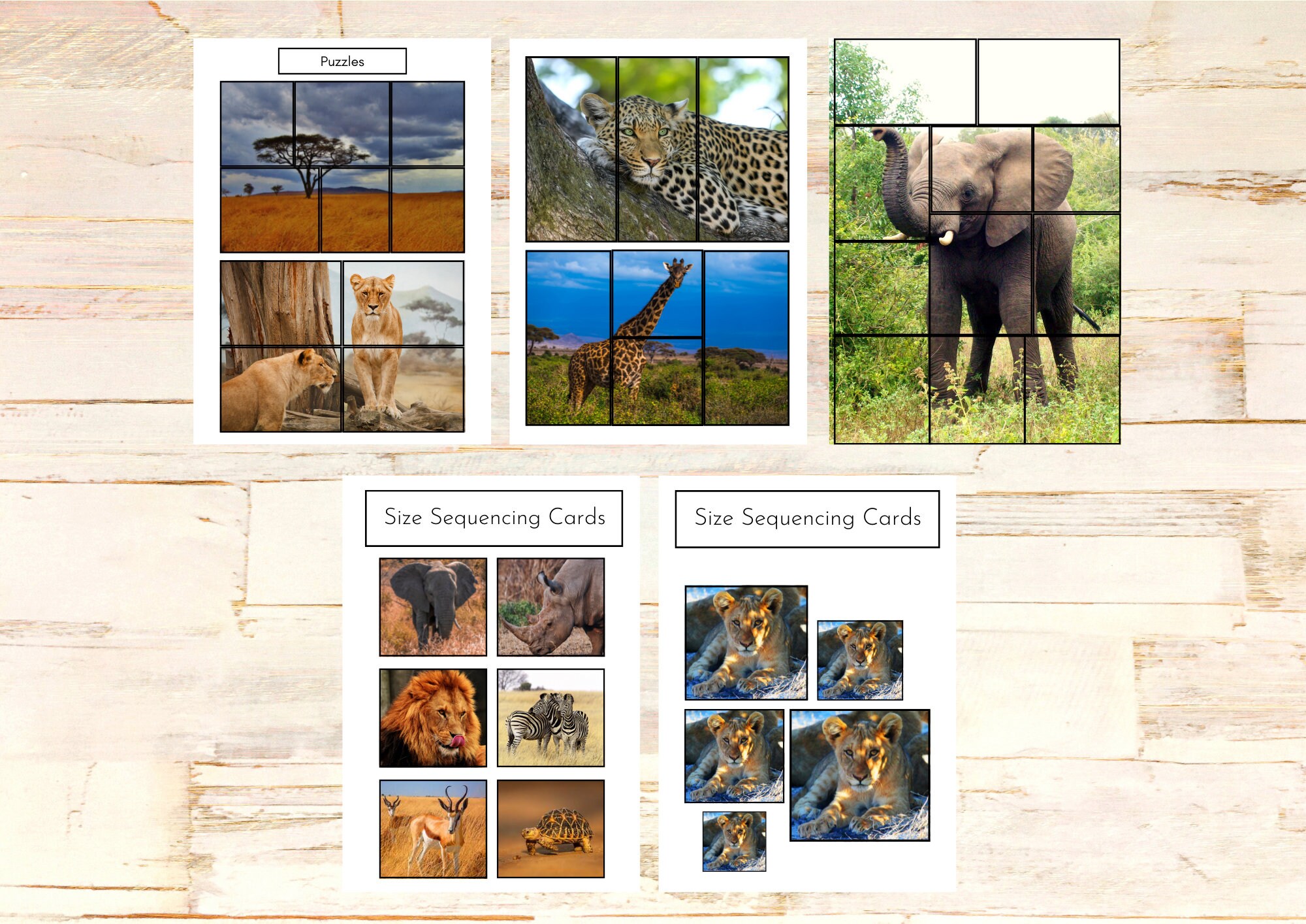 Safari Animals Preschool Activity Mini Bundle Etsy