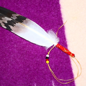 Native American Made Golden Eagle Replica Feather 4 Directions Wall ...