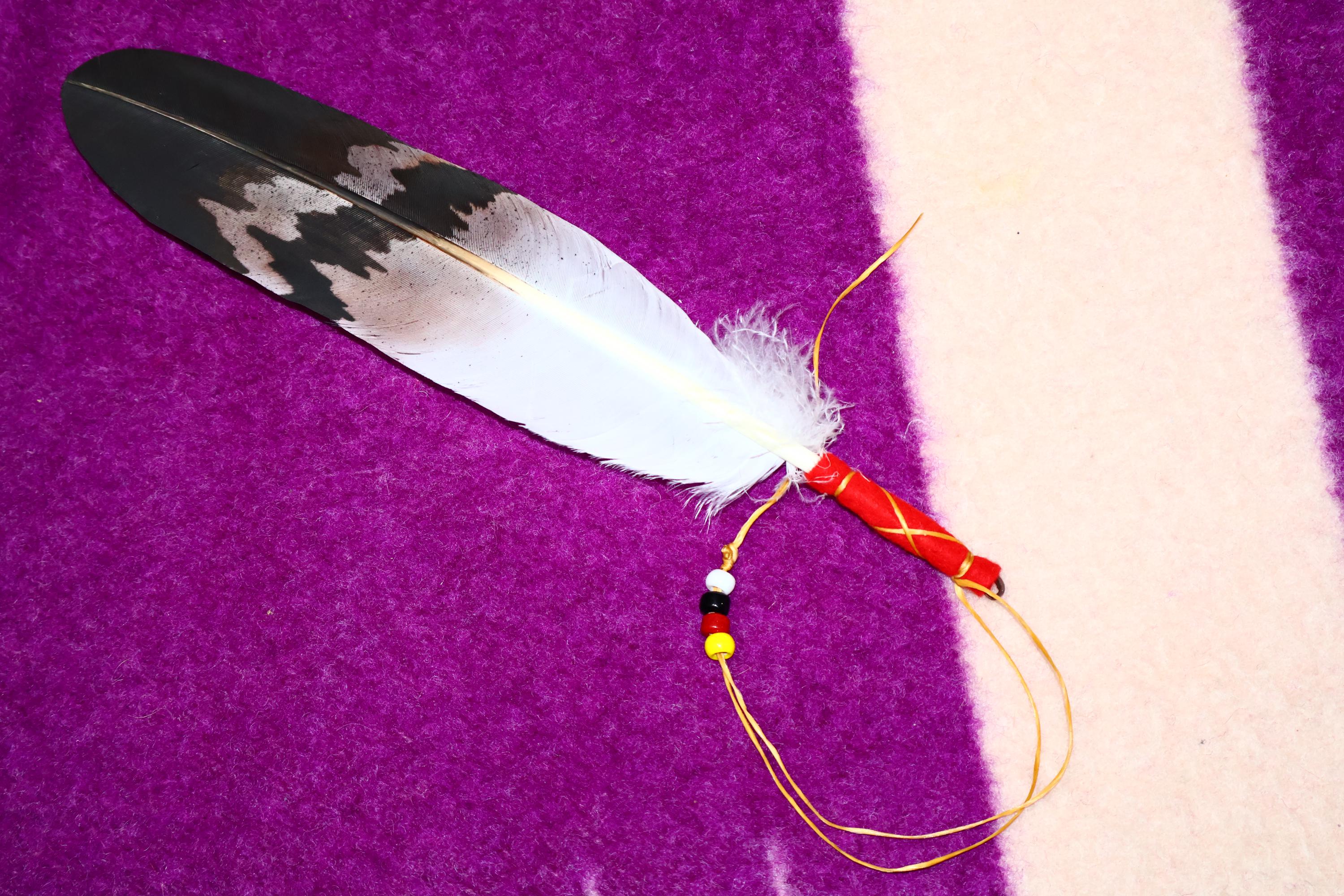 Native American Made Golden Eagle Replica Feather 4 Directions Wall ...