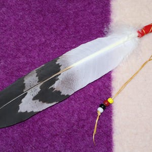 May include: A large white feather with a black and grey pattern on the lower half. The handle is wrapped in red fabric and gold thread. A leather cord with colourful beads hangs from the handle. The feather rests on a purple and white striped surface.