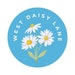 West Daisy Lane