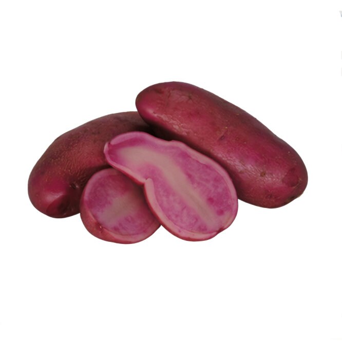 Red Emmalie Potatoes From UK Finest Culinary Potato free Etsy