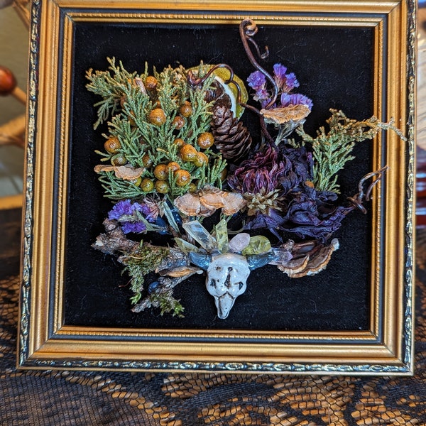 Oddity Framed Display "Nature's Floor" Dried Flowers,Real Mushrooms,Crystals,Pinecones,Juniper,Grapevine,Moss,Dried Citrus and Faux Skull