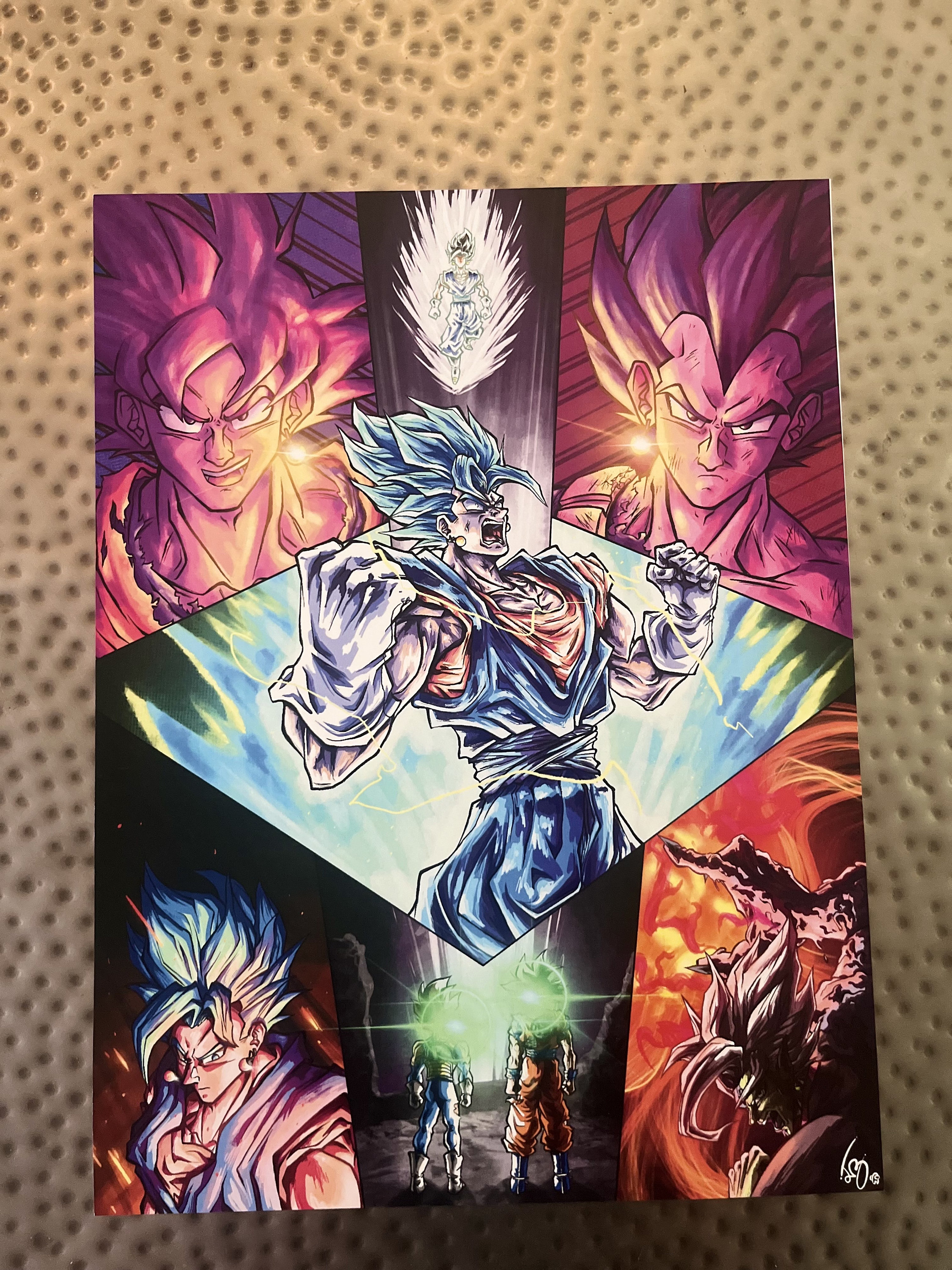 Goku and Vegeta Poster 