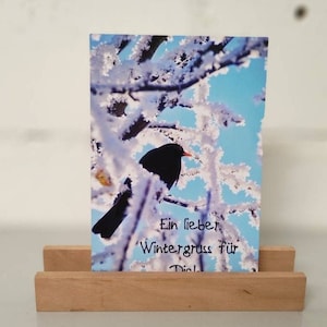 K&ouml;nnte beinhalten: Eine Wintergrusskarte mit einem Amsel, der auf einem schneebedeckten Zweig sitzt. Die Karte hat einen blauen Himmel als Hintergrund und den Text "Ein lieber Wintergruss f&uuml;r Dich".