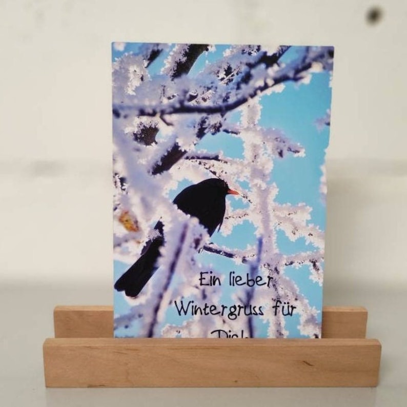 K&ouml;nnte beinhalten: Eine Wintergrusskarte mit einem Amsel, der auf einem schneebedeckten Zweig sitzt. Die Karte hat einen blauen Himmel als Hintergrund und den Text "Ein lieber Wintergruss f&uuml;r Dich".