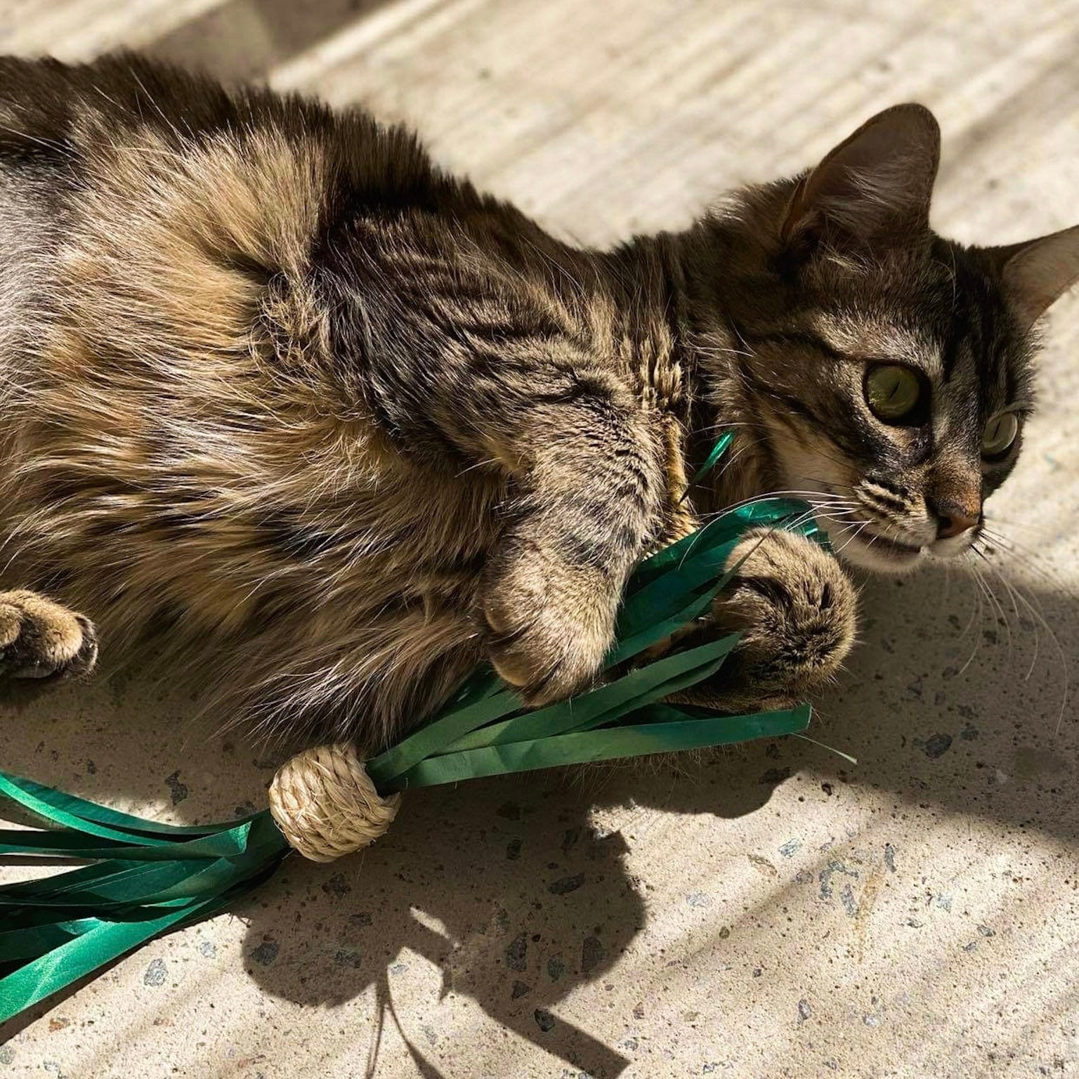 Un Jouet d'occupation Pour Ton Chat en Sisal et Bolduc Haru