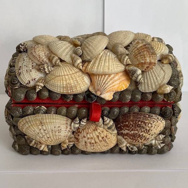 Sea Shell Box, home decor, jewellery box  ; Sea Shell Box; Home decor Sea Shell box, decorative box, Christmas gift elegant jewellery box