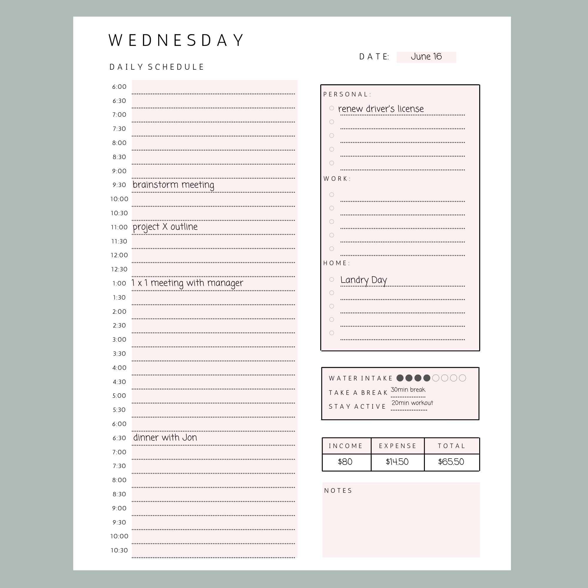 Daily 30 Minutes Planner Work & Home Plan Half Hour Planner School