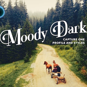 Capture One Styles, MOODY DARK Capture One Profile, Moody Presets, Cinematic Presets, Dark Presets, Instagram Presets