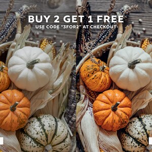 FALL Capture One Styles, Autumn Capture One, Moody Presets, Autumn