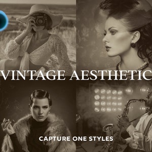 Capture One Styles, VINTAGE AESTHETICS Capture One Styles, Sepia Presets, Film Presets, Retro Presets, Instagram Presets
