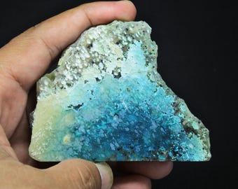 Specimen Polished Blue Opalized Petrified Wood Copper